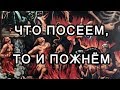 Что посеем, то и пожнём