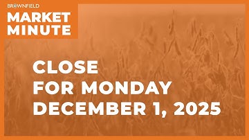 De termijnprijzen voor rundvee waren in december overwegend lager | Slotnotulen