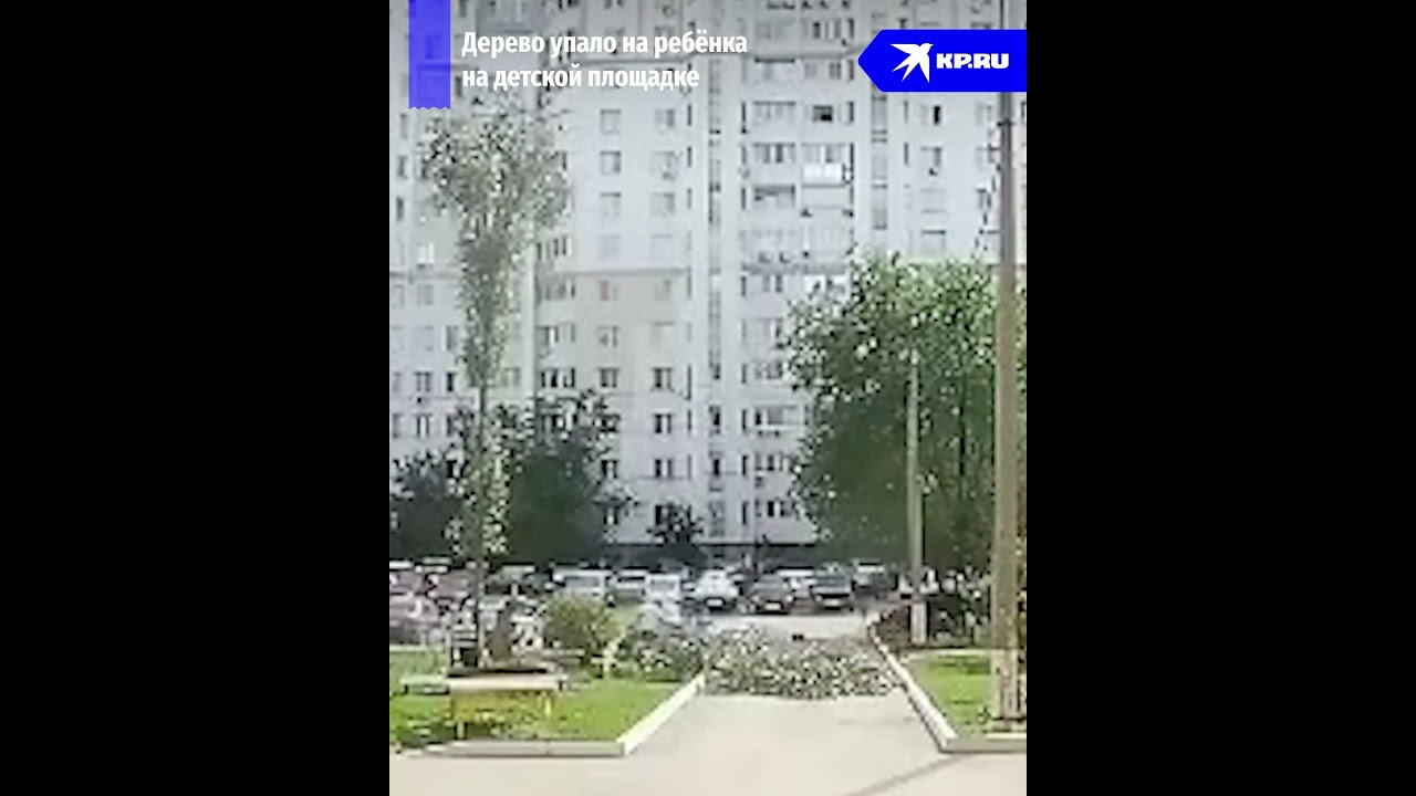 Дерево упало на ребёнка