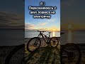 New bicycle Rotwild #шортс #top #bicycle #rotwild #велосипед #юмор #приколы #топ #orbea #recommended