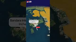 Jakarta Ke Seoul Korea Selatan shorts