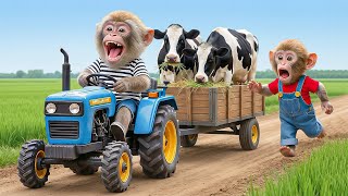 Download Lagu 🐒🚜🔥 Monkey NaNa Catches a Sneaky Thief Stealing His Tractor — His Smart Revenge SHOCKS Everyone! 😱💥 MP3