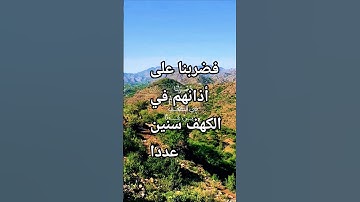 قرأن كريم راحة نفسية بصوت يريح الأعصاب #elmulquranعلم #قران_كريم #تلاوة #اكسبلور #المصحف #trend