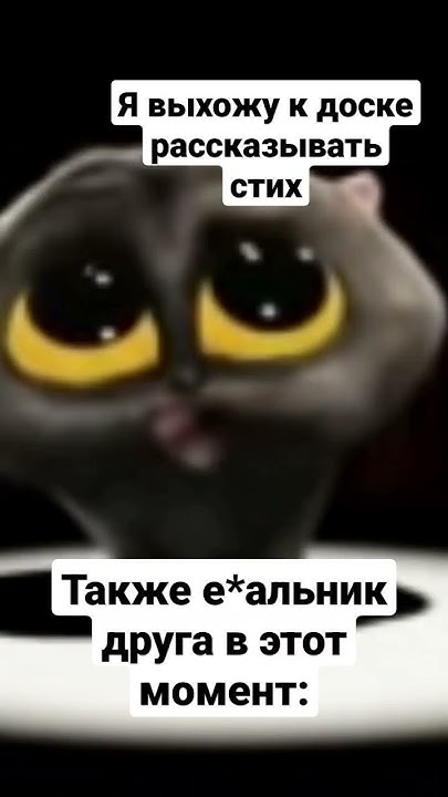 Мемас с тик тока #shorts #мем #мемы #скибиди #черныйкот #кот #стих # ...