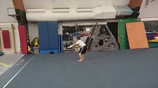 Front Handspring Front Salto