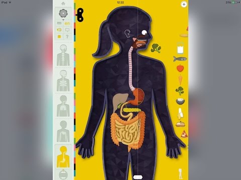 The Human Body by Tinybop for IOS