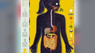 The Human Body by Tinybop for IOS screenshot 3