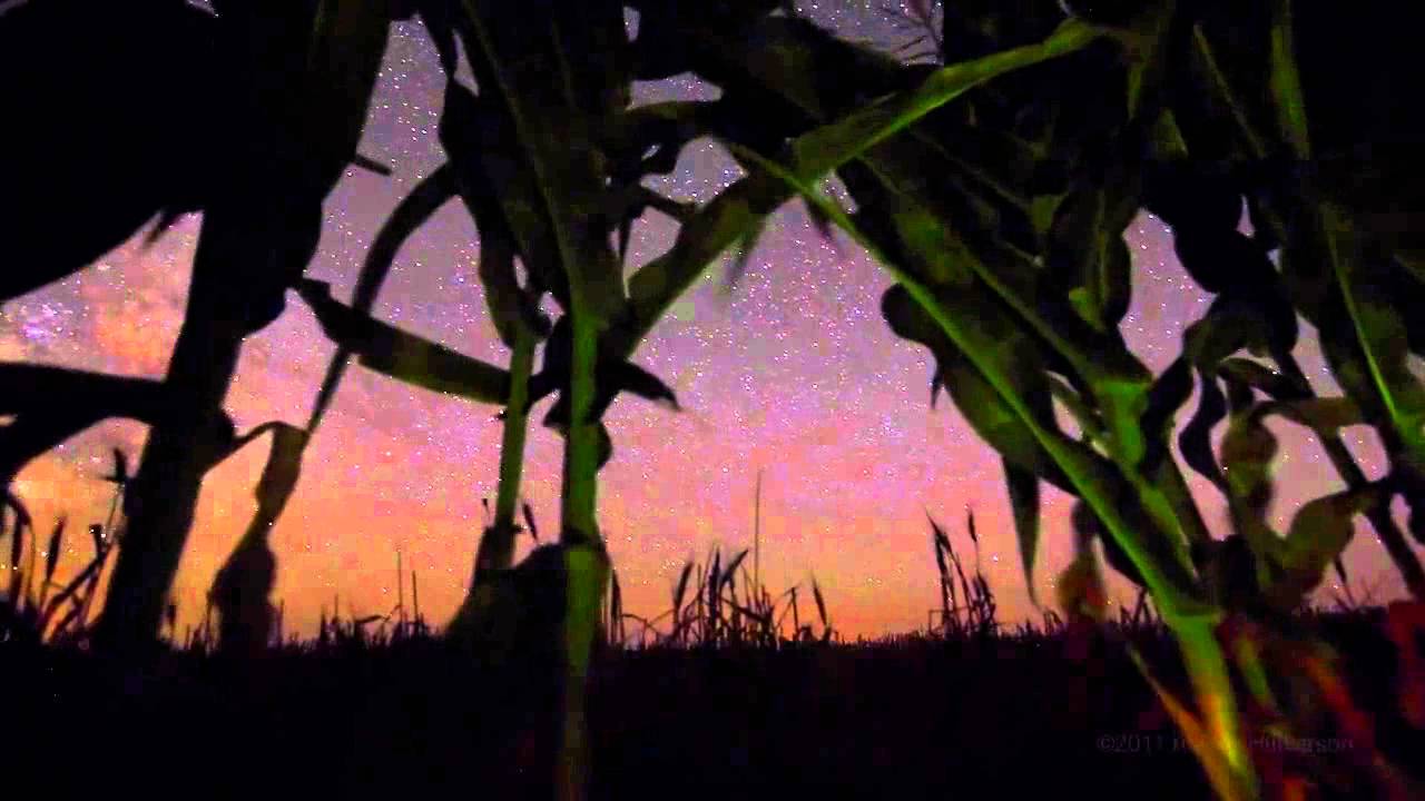 Watch Digital dreaming - Royalty-free stock music (audiojungle) on YouTube Watch Digital dreaming - Royalty-free stock music (audiojungle) on YouTube