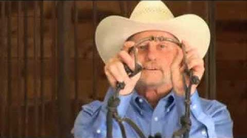 Types of Snaffle Bits