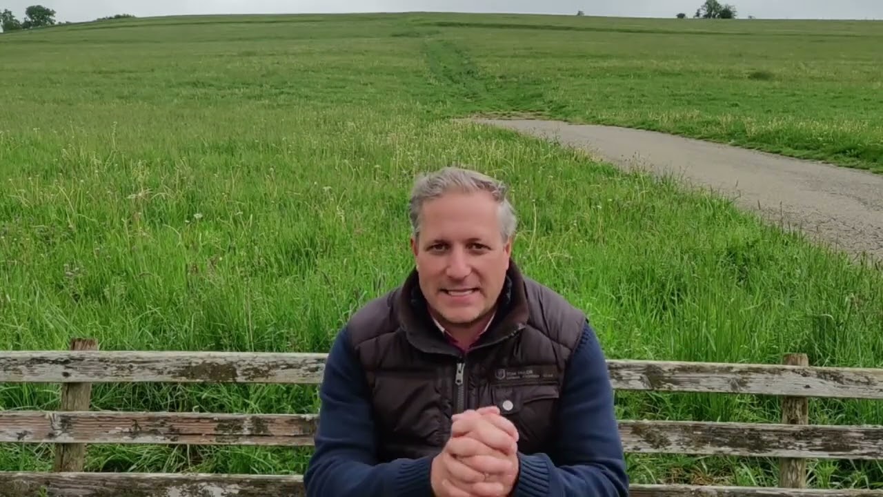 Ich lobe meinen Gott - Harry Zepf