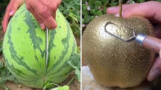 Best Oddly Satisfying Video II Những video triệu view thỏa mãn người xem  #3