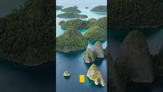 Bananas Dates Back 1000S Of Years, Was First Cultivated In Papwa New Guinea