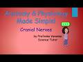 Cranial Nerves