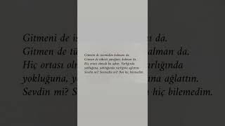 Sevdin Mi Sevmedin Mi Bilemedim