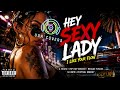 Hey Sexy Lady - Shaggy ft Brian &amp; Tony Gold 🔥 | G House x Hip Hop Reggae Fusion 2025