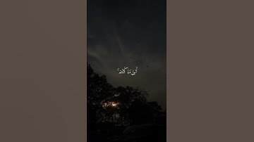 وَهُوَ مَعَكُمْ أَيْنَ مَا كُنتُمْ ۚ #القرآن_الكريم #المصحف | سورة الحديد.