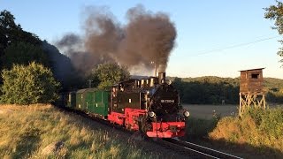 Rasender Roland auf der Insel Rügen im Spätsommer 2016 - Schmalspur-Regelbetrieb bei der RüBB