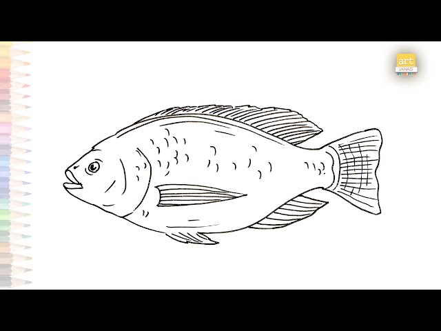 Weekly Drawing contest // Week #27 Begin: Draw A Tilapia Fish — Steemit