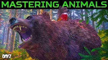 The Hidden Animal Path System of DayZ | A New Way to Hunt