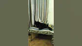 Я солнечнаЯ
