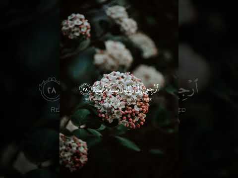 يا ايتها النفس المطمئنه ارجعي الى ربك راضيه مرضيه ماهر المعيقلي قرآن    