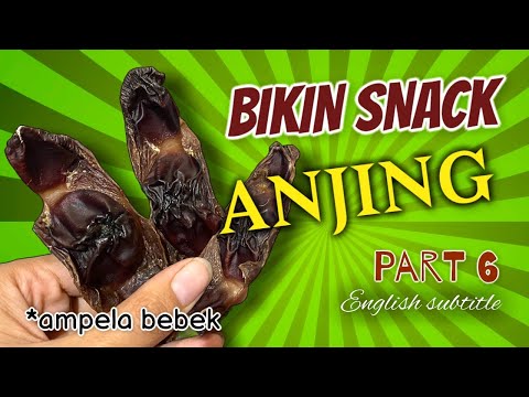 Video: Bolehkah anjing makan balunbalunan?