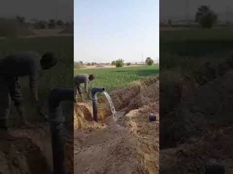الرى الموفر تركيب شرائح المواسير للرى الحديث 4