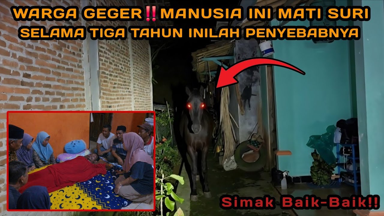 🔴KEJADIAN DILUAR NALAR‼️MANUSIA INI MELAKUKAN PESUGIHAN JARAN PANOLEH!! INI YANG TERJADI 