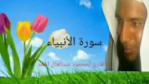سورة الأنبياء القارئ محمود عبدالعال أحمد