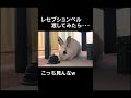 うさぎにベル渡したら本当にそんな反応するんだw #shorts #うさぎ #ウサギ