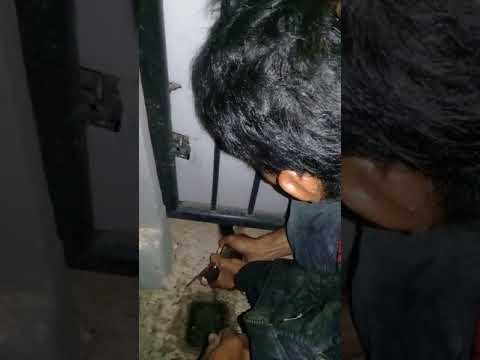 ular sanca bodo di cikaret gang AL-Fallah