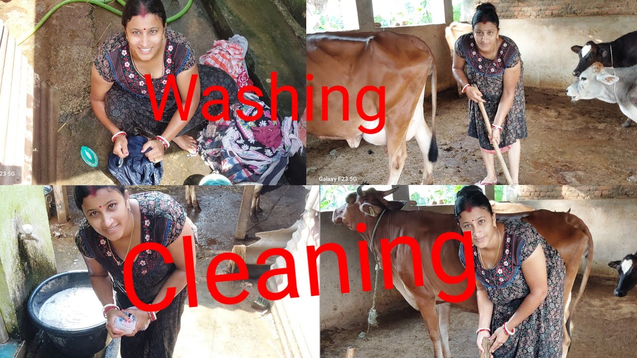 Washing r Cleaning karte gia mon ta khub Khushi holo ? 🤔🥻🪠🪣@kalyani  vlogs #Washing #cleaning