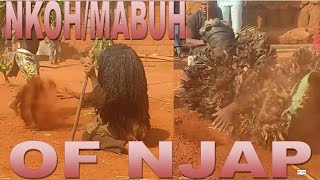 Nkoh And Mabuh Of Njap