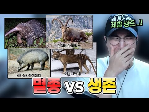 멸종 동물 맞추기