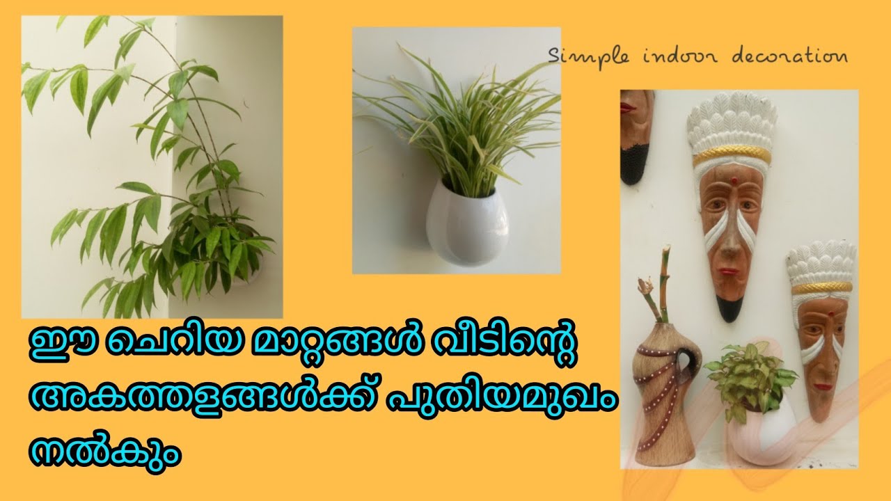 Indoor plant ideas | costless indoor decoration | simple indoor style