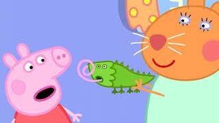 Peppa Pig En Español Episodios Completos La Tortuga De La Doctora Hamster Pepa La Cerdita