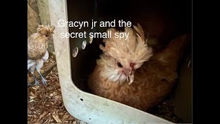Gracyn Jr And The Secret  Small Spy (imovie)
