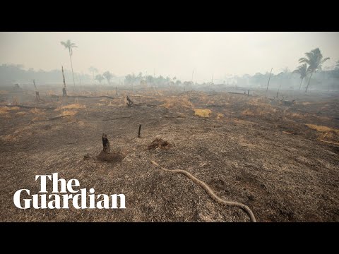 Drone footage reveals aftermath of Amazon fires