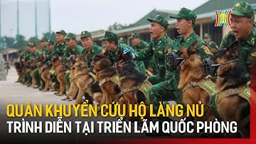 Quân khuyển cứu hộ làng Nủ lần đầu tiên trình diễn tại Triển lãm Quốc phòng | Hà Nội 18:00