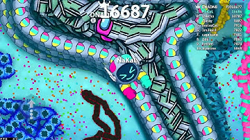 Biggest Snake Trap Ever Caught! Snake.io🐍 #340