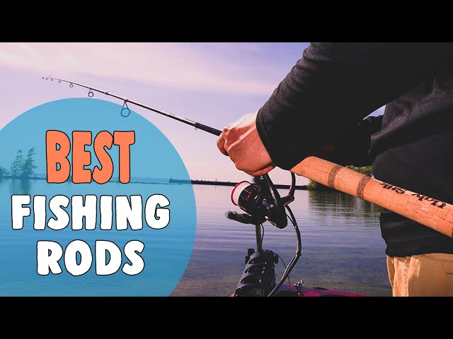 Best Fishing Rods in 2021 – Top Rated Outdoor Gear! 