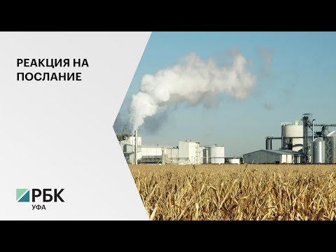 В Стерлитамакском районе построят комплекс по глубокой переработки зерна