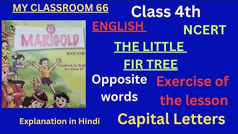 The Little Fir Tree,Marigold,Class 4th English,  Myclassroom66, exercise of lesson, opposite words