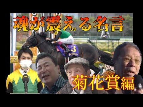 【競馬】競馬界・胸を熱くする珠玉の名言集【菊花賞】