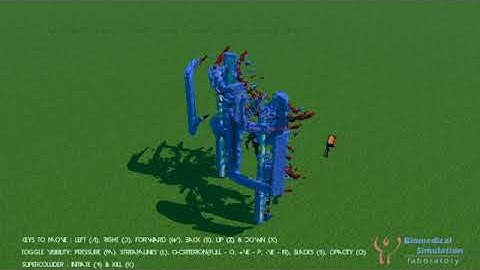 Visualization and sonification of flow around a vertical wind turbine