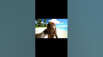 RASTA MONKEY