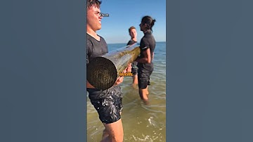 SEAL Team 6 Hell Week Training