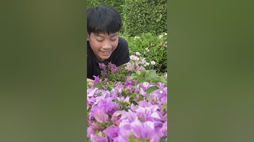 Spotting Red Flags in Relationships  - Adult Tantrums