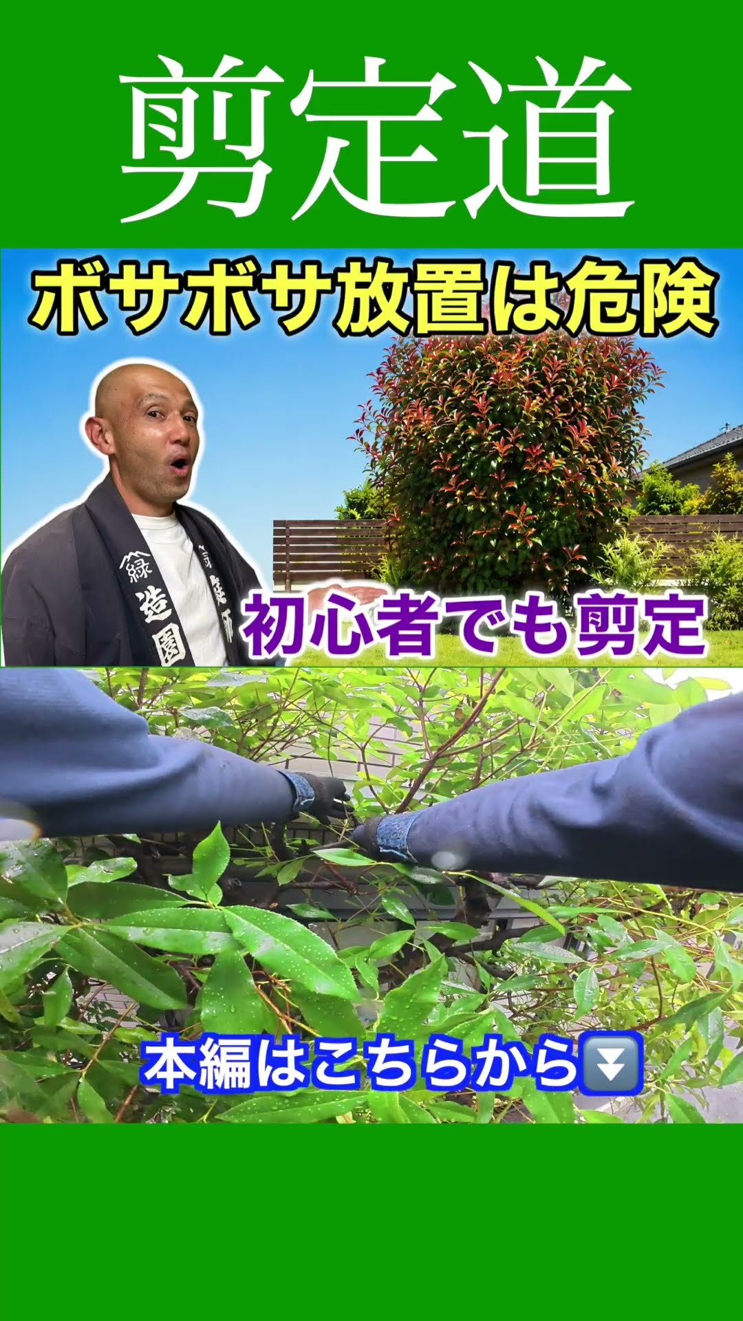 Easy Red Robin Pruning for Beginners: Don't Neglect Your Hedges