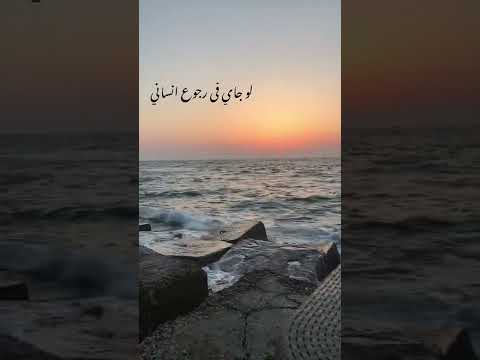 احمد فريد لو جاي في رجوع انساني شوفلك موضوع تاني